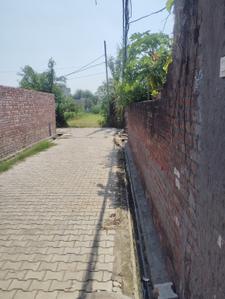 Image of 806 Sq.ft Residential Plot / Land for sale in Charan Bagh, Patiala for Rs. 550000