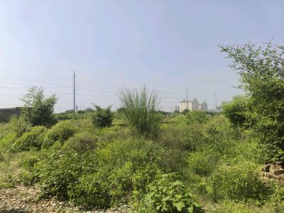Image of 60 Sq.ft Residential Plot / Land for sale in Bhanauta, Greater Noida for Rs. 2114800