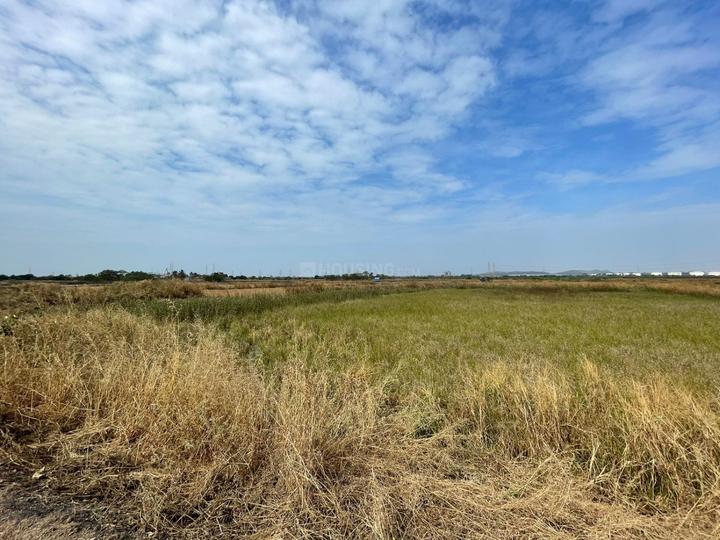 Ranjanpada Main Image 1