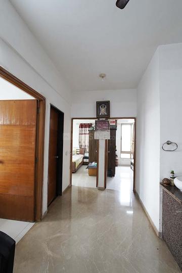 Sepal Elegant 3 Main Image 1