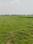 Sonarpur Plot View 2