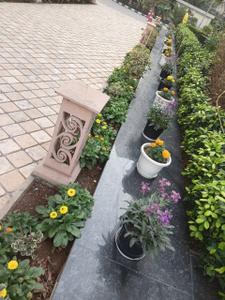 Image of 5724 Sq.ft 4.5 BHK Apartment / Flat for sale in 3C Lotus 300, Sector 107, Noida for Rs. 150000000