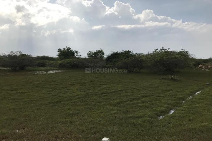 Kanchipuram Main Image 1