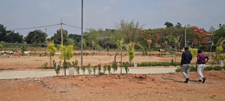 Thyme Park Main Image 1