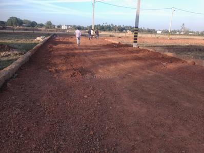 Satyabhamapur Plot View 3