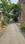 Shakti peeth Main Image 1