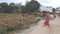 Simaliya Main Image 1