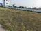 Theur Main Image 1