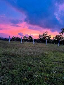Image of 2000 Sq.ft Residential Plot / Land for sale in Karjat, Thane for Rs. 1600000