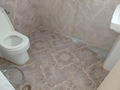 Image of 1560 Sq.ft 3 BHK Apartment / Flat for rent in Gusval Kala, Lucknow for Rs. 18000