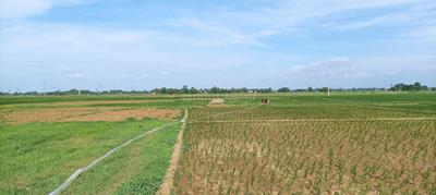Vrindavan Colony bihta Plot View 2