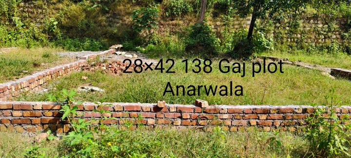 Anarwala Main Image 1