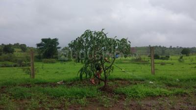 Image of 27224 Sq.ft Residential Plot / Land for sale in Pali, Raigad for Rs. 4900000