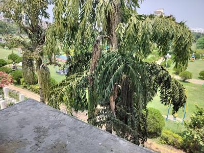 Image of 1600 Sq.ft 4 BHK Apartment / Flat for sale in New Town, Kolkata for Rs. 10500000
