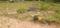 Allithurai Plot View 2