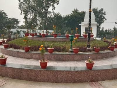 Jait Plot View 1