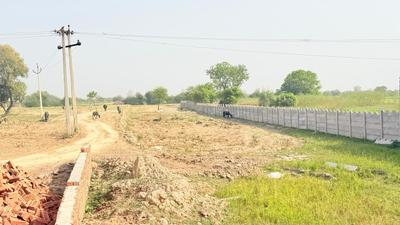 Image of 1350 Sq.ft Residential Plot / Land for sale in Barsana, Mathura for Rs. 3000000