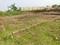 Trisulia Plot View 2