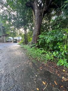 Image of 60000 Sq.ft Residential Plot / Land for sale in Pernem Rural, Goa for Rs. 600000000