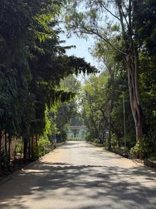 Suramya 1 Plot View 2