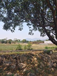Thano Plot View 1