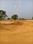 Tonk Road Chaksu Plot View 2