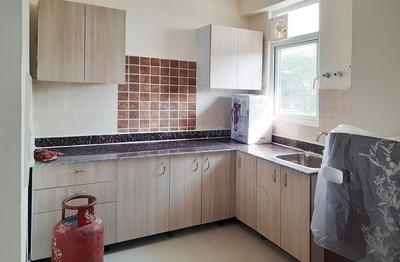 Kitchen Image of Amrapali Zodiac R 104 in Sector 120, Noida