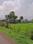 Barela Main Image 1