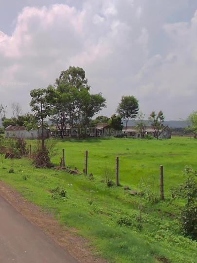 Barela Main Image 1