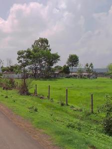 Barela Plot View 1