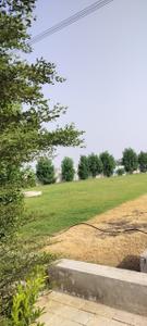 Image of 1386 Sq.ft Residential Plot / Land for sale in Spiti Palm Estate, Farukh Nagar, Gurgaon for Rs. 9700000
