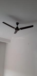 Hall Image of 225 Sq.ft 1 RK Builder Floor for rent in Sector 52 Gurgaon for Rs. 11000