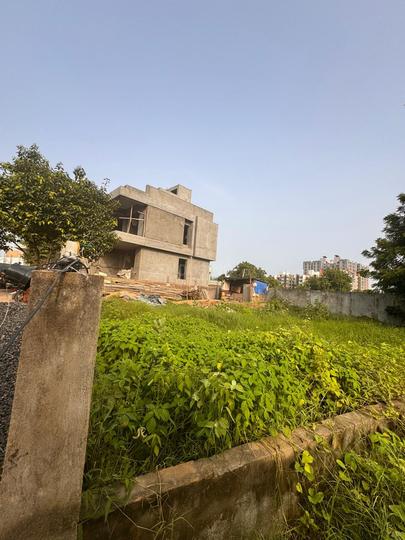 Palm green Main Image 1