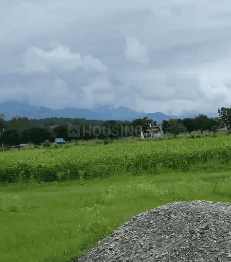 Tilwari Main Image 1