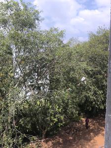 Bedroom Five Image of 3150 Sq.ft 5 BHK Apartment / Flat for sale in Bangalore City Municipal Corporation Layout Bengaluru for Rs. 29000010