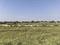 Keshav Residncy Plot View 2