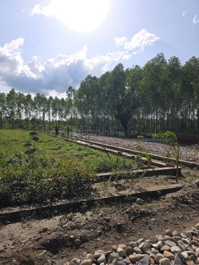 Mohabbewala Main Image 1