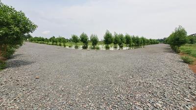 Image of 6000 Sq.ft Residential Plot / Land for sale in Sejbahar, Raipur for Rs. 4500000