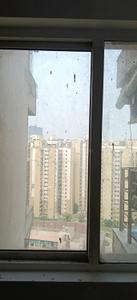 Balcony Image of 1410 Sq.ft 3 BHK Apartment / Flat for sale in Paras Tierea, Sector 137 Noida for Rs. 11000000