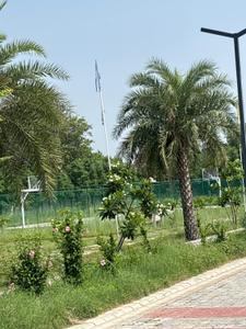 Image of 1017 Sq.ft Residential Plot / Land for sale in sector 36, Bahadurgarh for Rs. 11700000