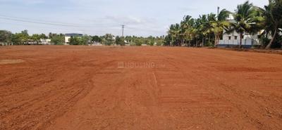 Residential Plot