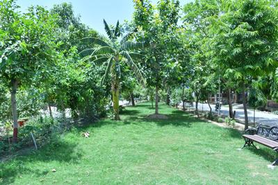 Image of 3831 Sq.ft 2.5 BHK Independent House for sale in Phi III, Greater Noida for Rs. 53000000