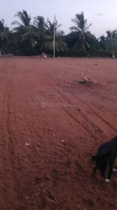 Anbunagar Extension Plot View 1