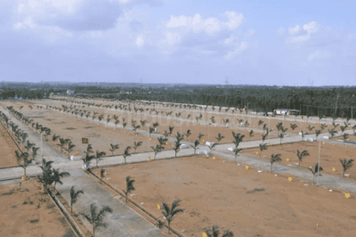 V INFRA Plot View 3