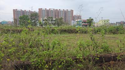 Residential Plot
