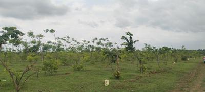 Residential Plot