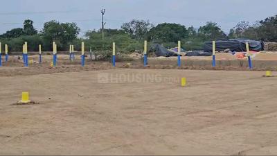 Residential Plot