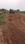 PRIME VISTA Plot View 2