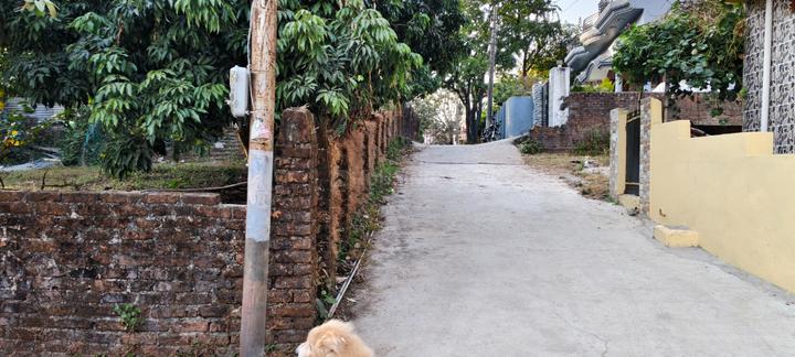 Johri Main Image 1