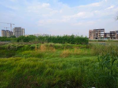 Image of 147 Sq.ft Residential Plot / Land for sale in Skywhales Vienna Greens II, Sector 99A, Gurgaon for Rs. 27016000